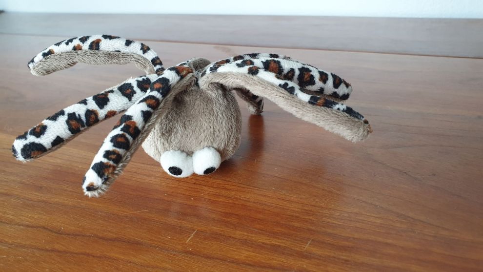 Polipetto Octopus Polipetto Octopus