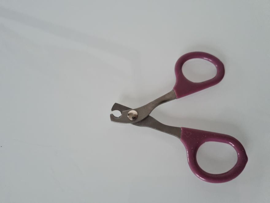 Tagliaunghie diritto